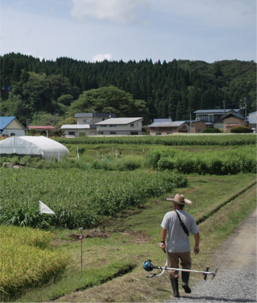 北秋田市前山 イメージ