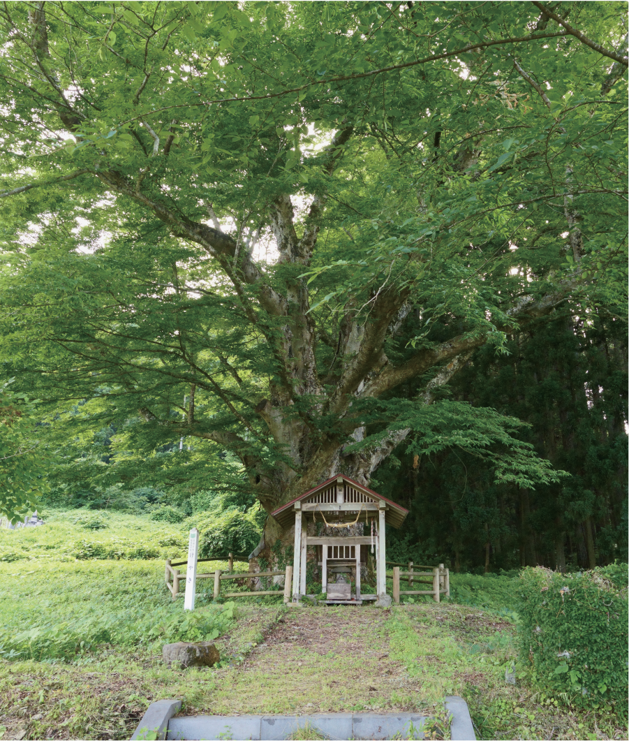 五城目町帝釈寺 イメージ