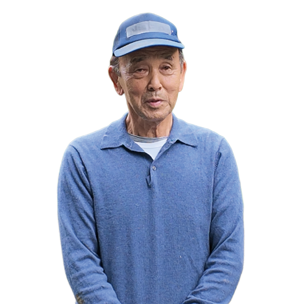 ナビゲーター イメージ